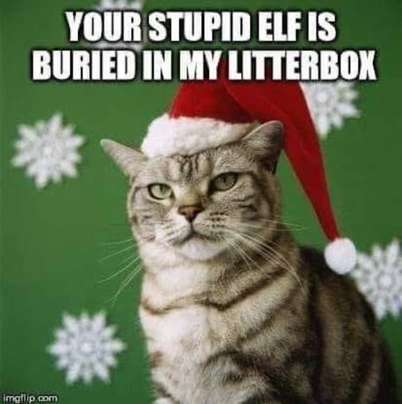 Meet your Posher, Nathan - Picture 1 of 1